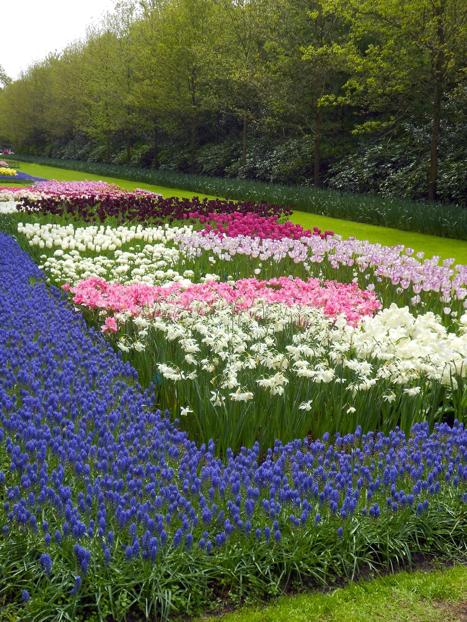 /amsterdam/voyage-amsterdam-keukenhof.jpg