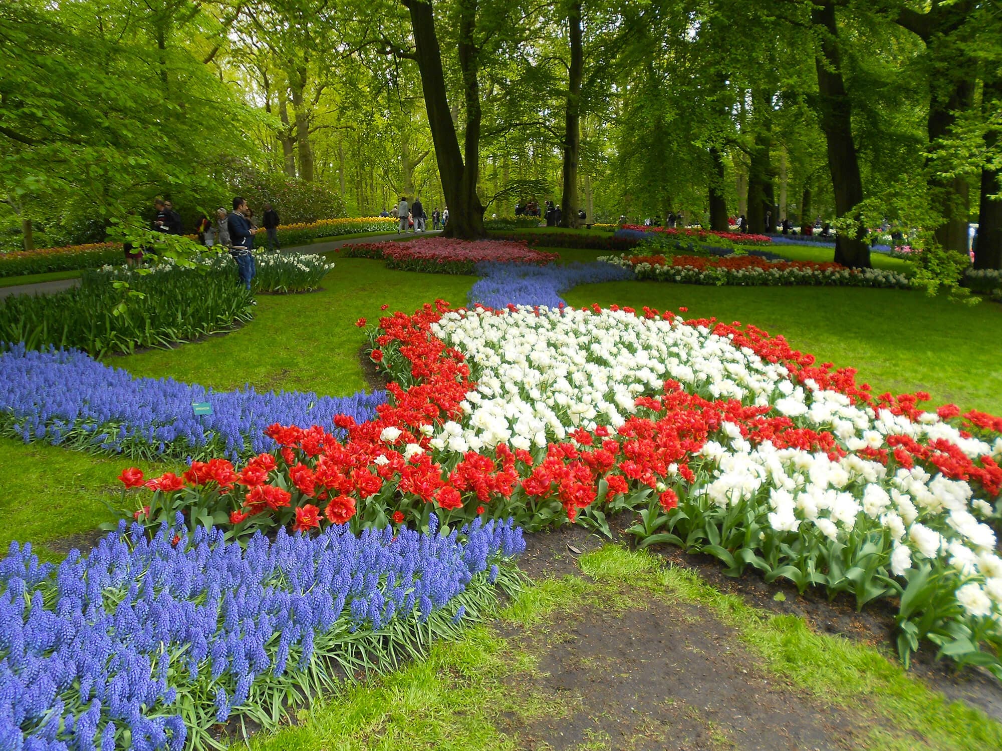 /amsterdam/voyage-amsterdam-keukenhof1.jpg