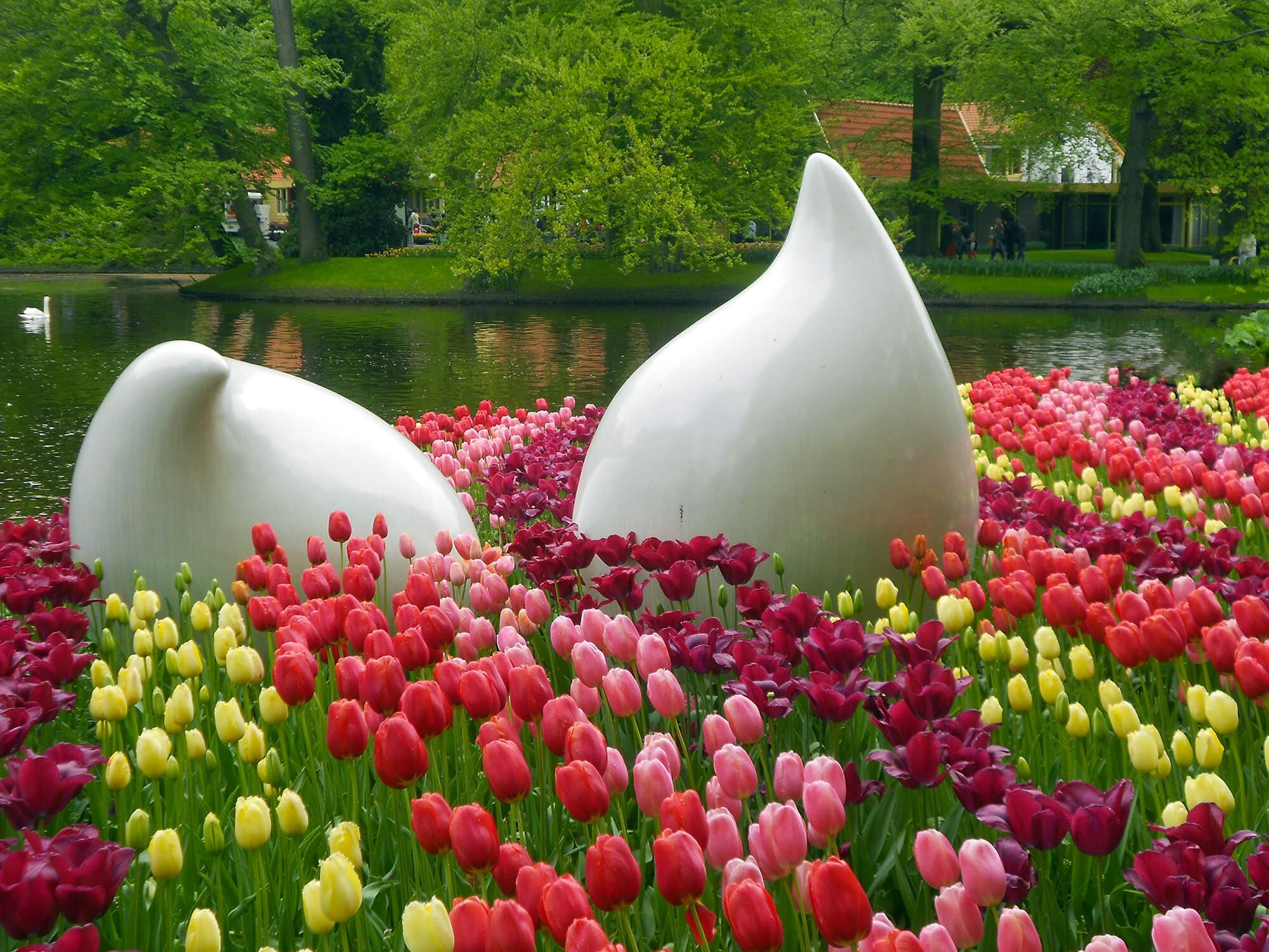 /amsterdam/voyage-amsterdam-keukenhof2.jpg