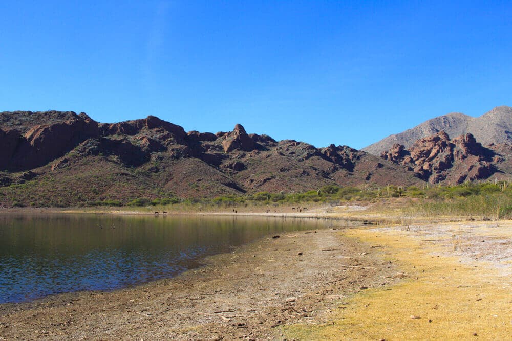 Laguna del Brealito