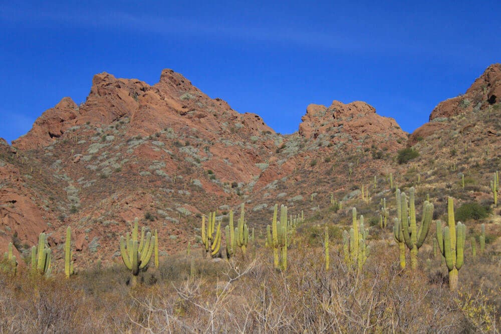 Laguna del Brealito
