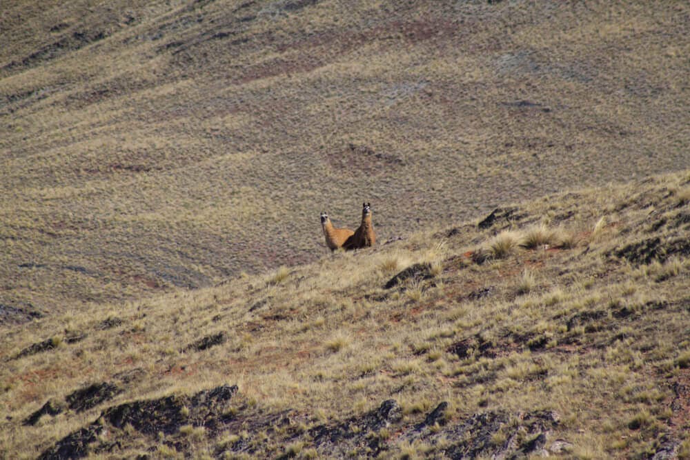 Valle Encantado