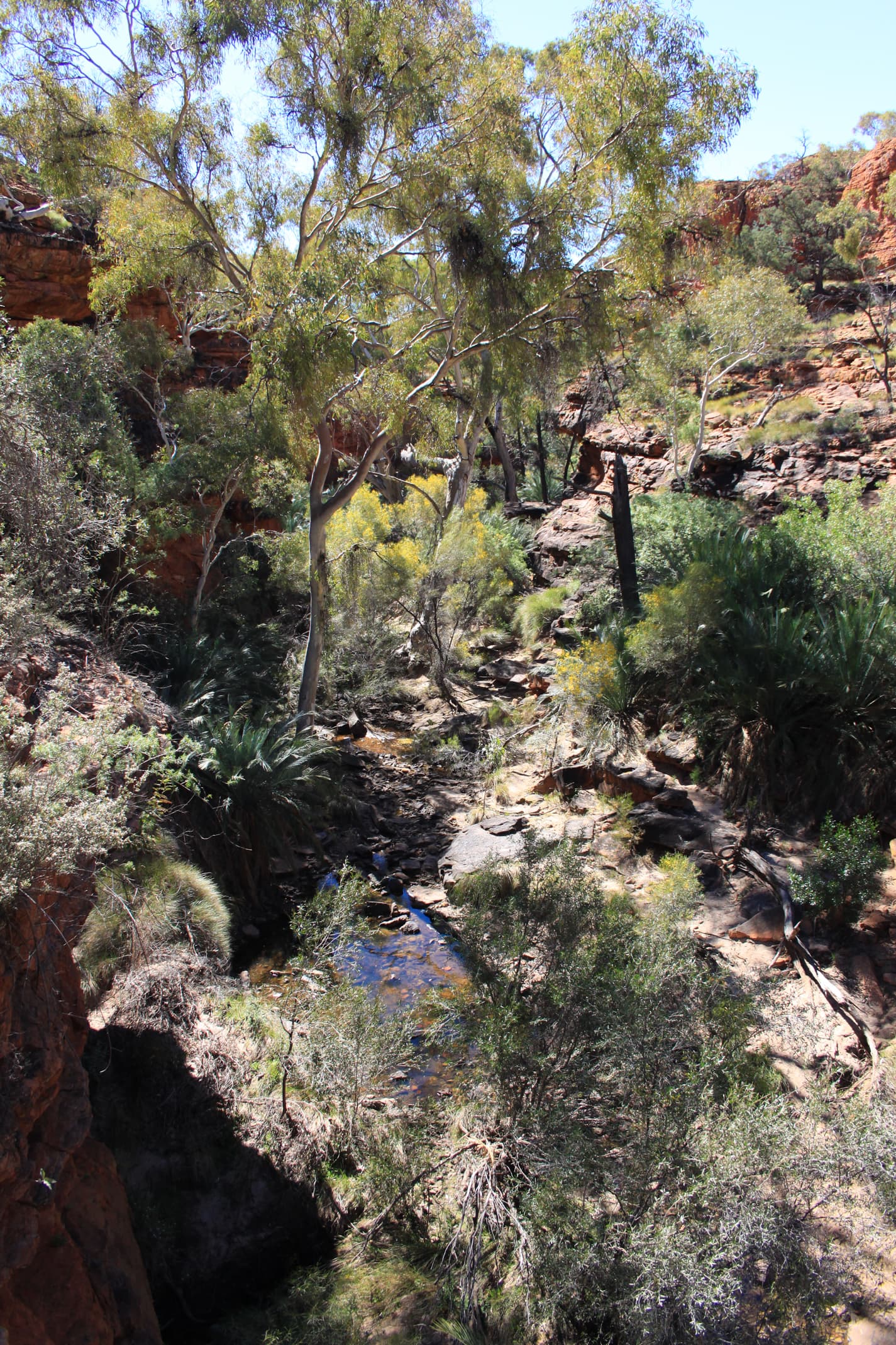 Kings Canyon