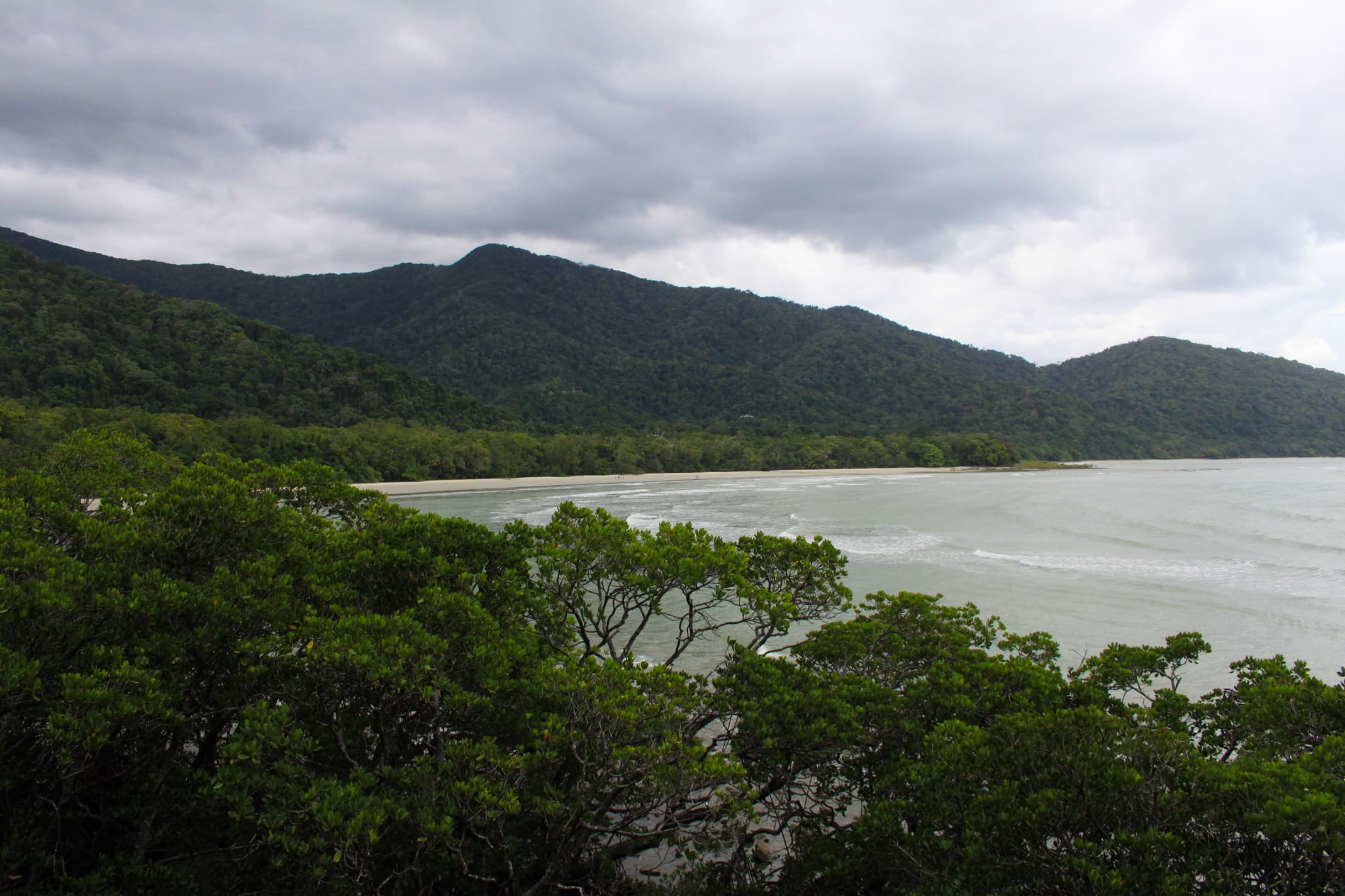 Daintree Rainforest