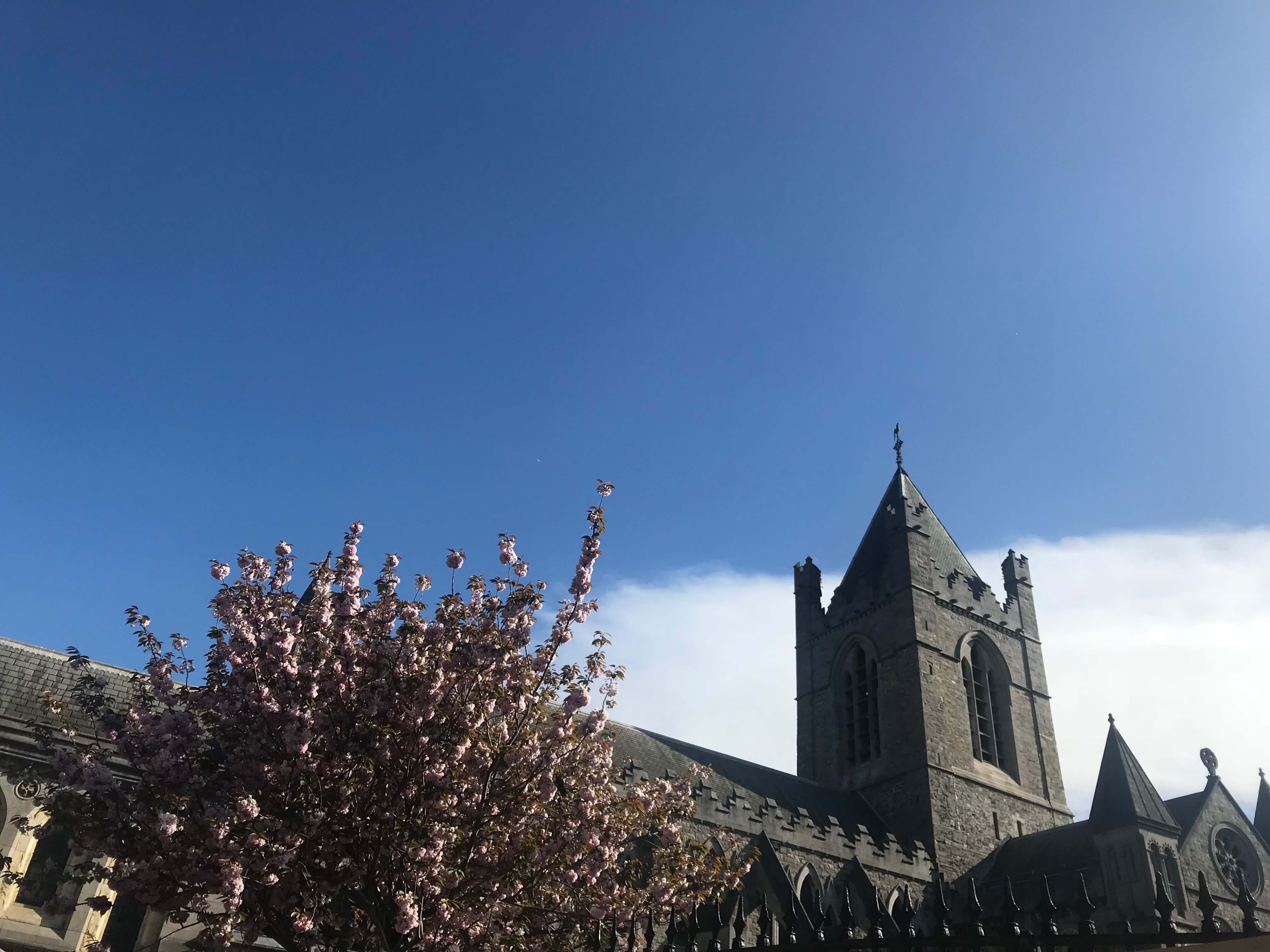 Christ Church Cathedral