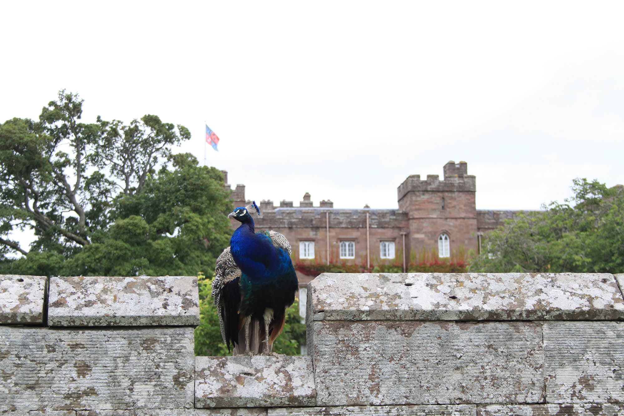 /ecosse/voyage-ecosse-jour-7-scone-palace-2.JPG
