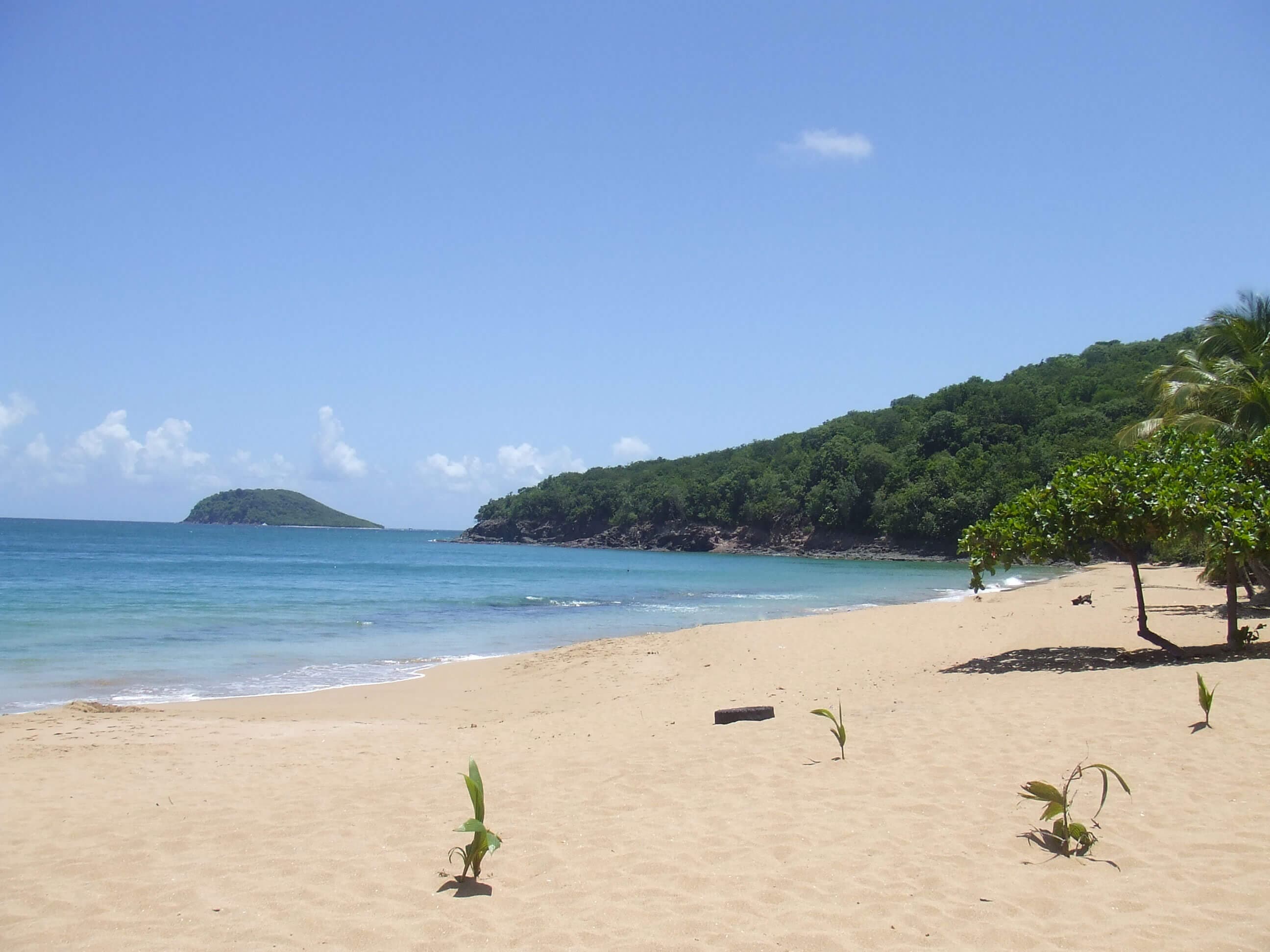 12 choses à voir et  à faire en Guadeloupe