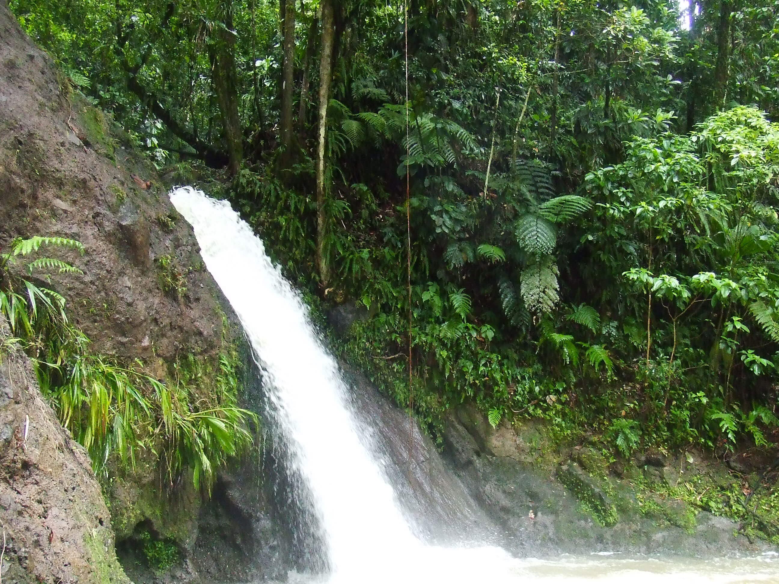 Cascade aux écrevisses