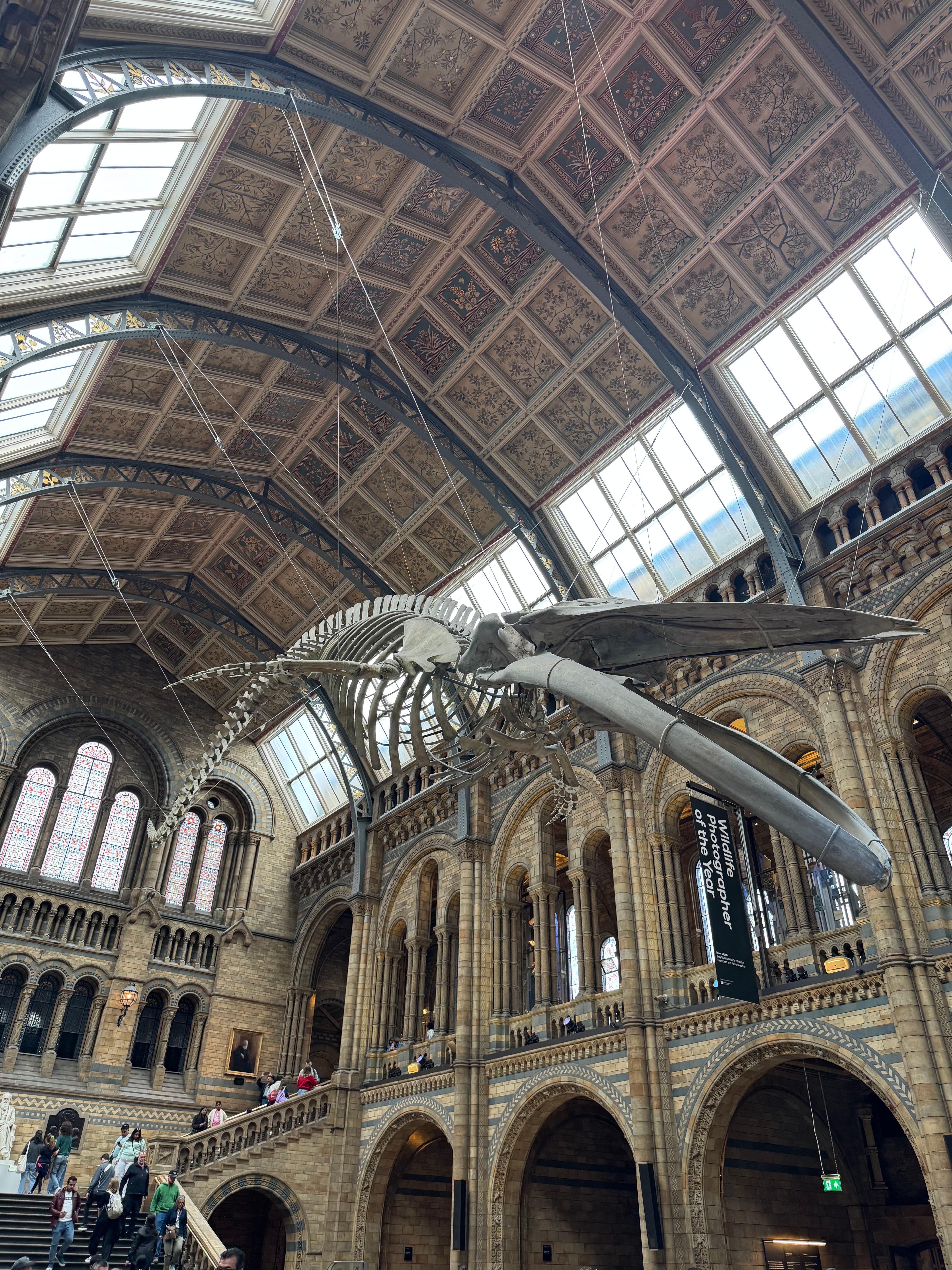 /londres/londres-jour-5-musee-histoire-naturelle-1.jpeg