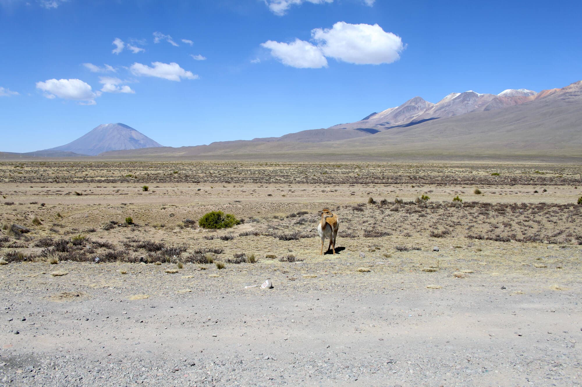 /perou/voyage-perou-altiplano.JPG