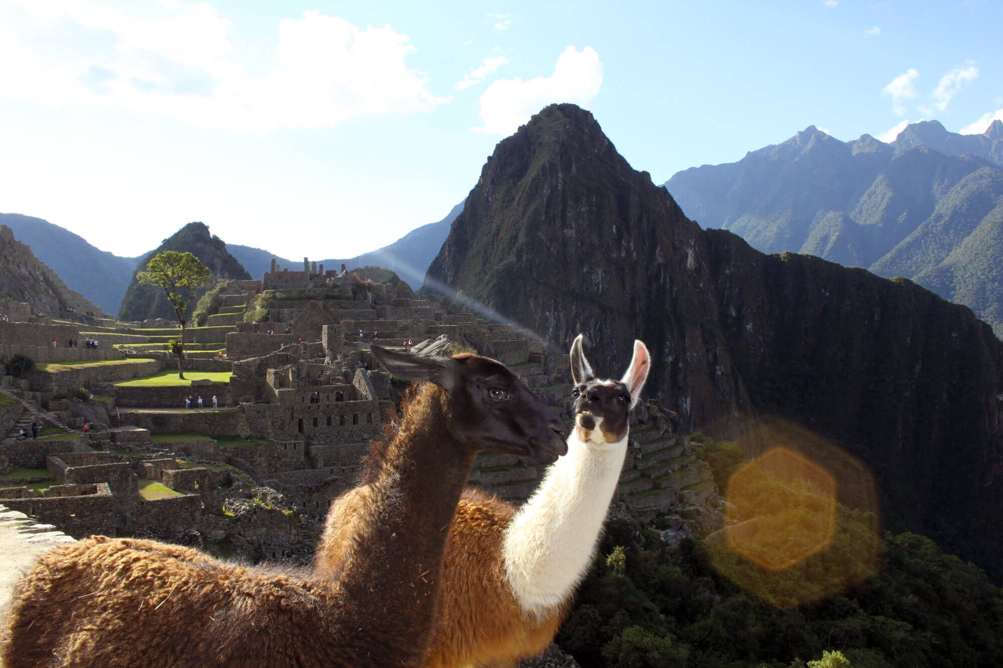 /perou/voyage-perou-machu-picchu6.JPG