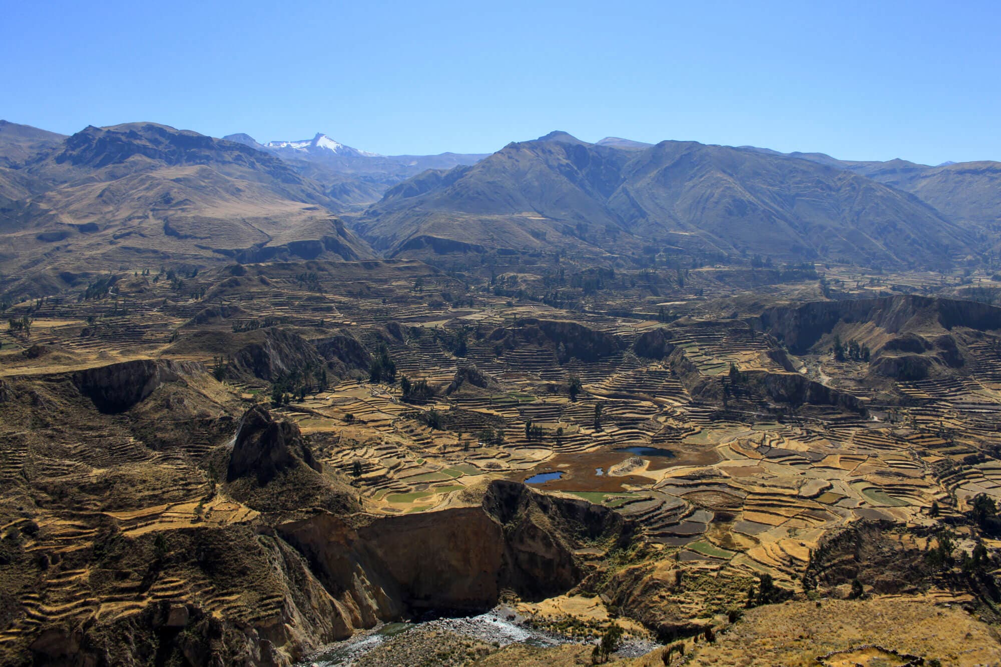 /perou/voyage-perou-valle-del-colca3.JPG