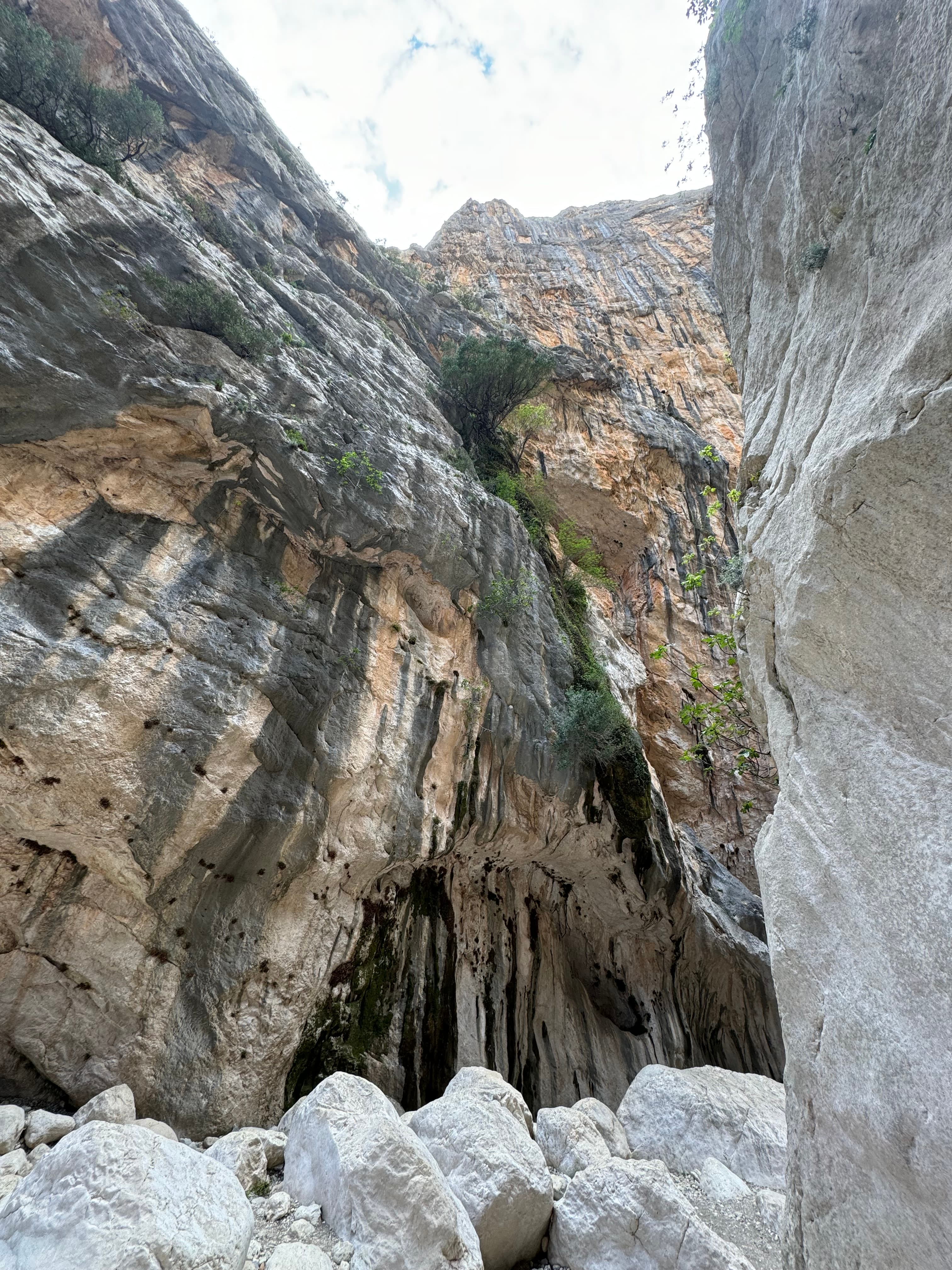 /sardaigne/sardaigne-jour-3-gola-di-gorropu-5.jpeg