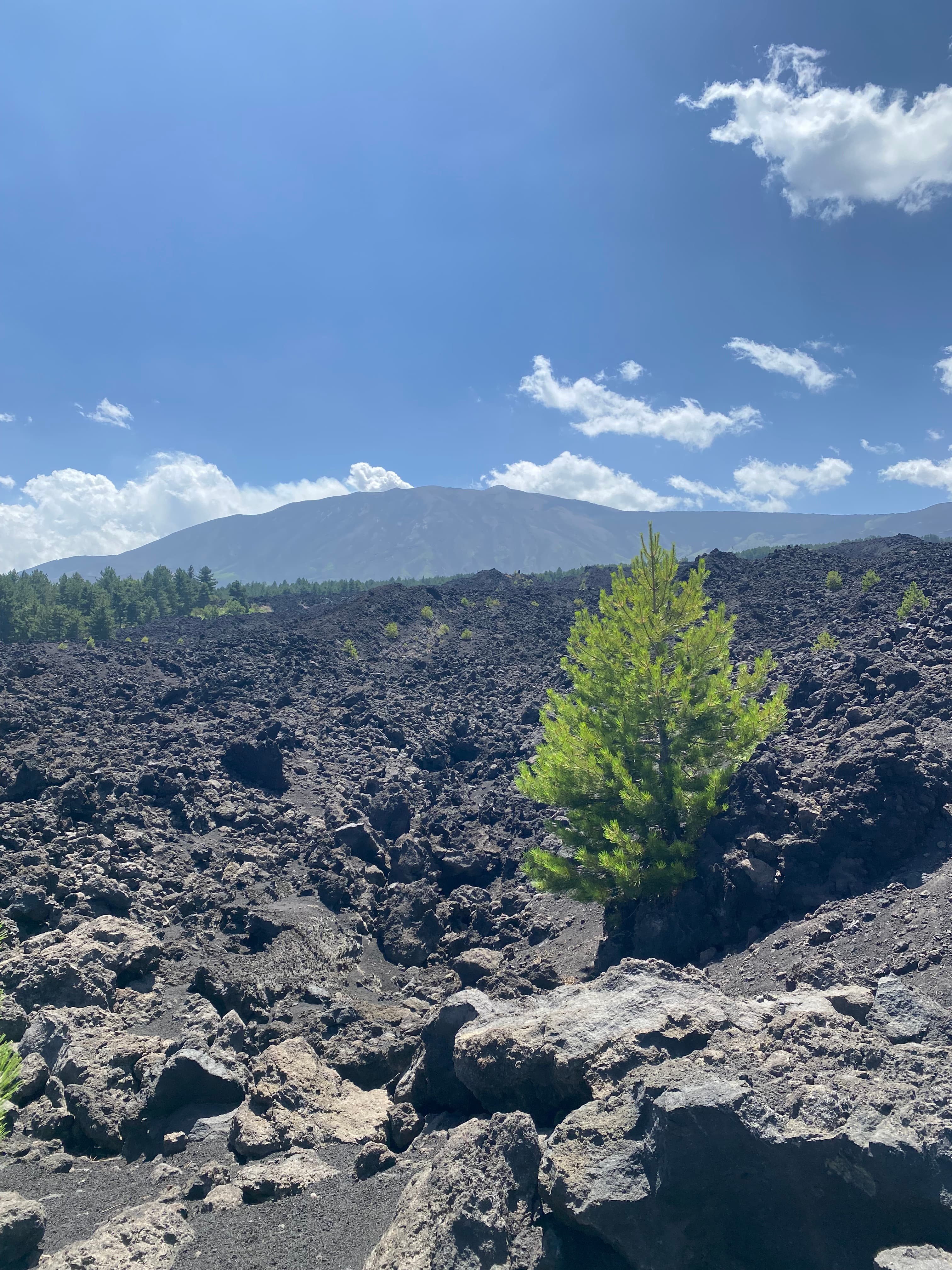 /sicile/voyage-sicile-etna-1.jpeg