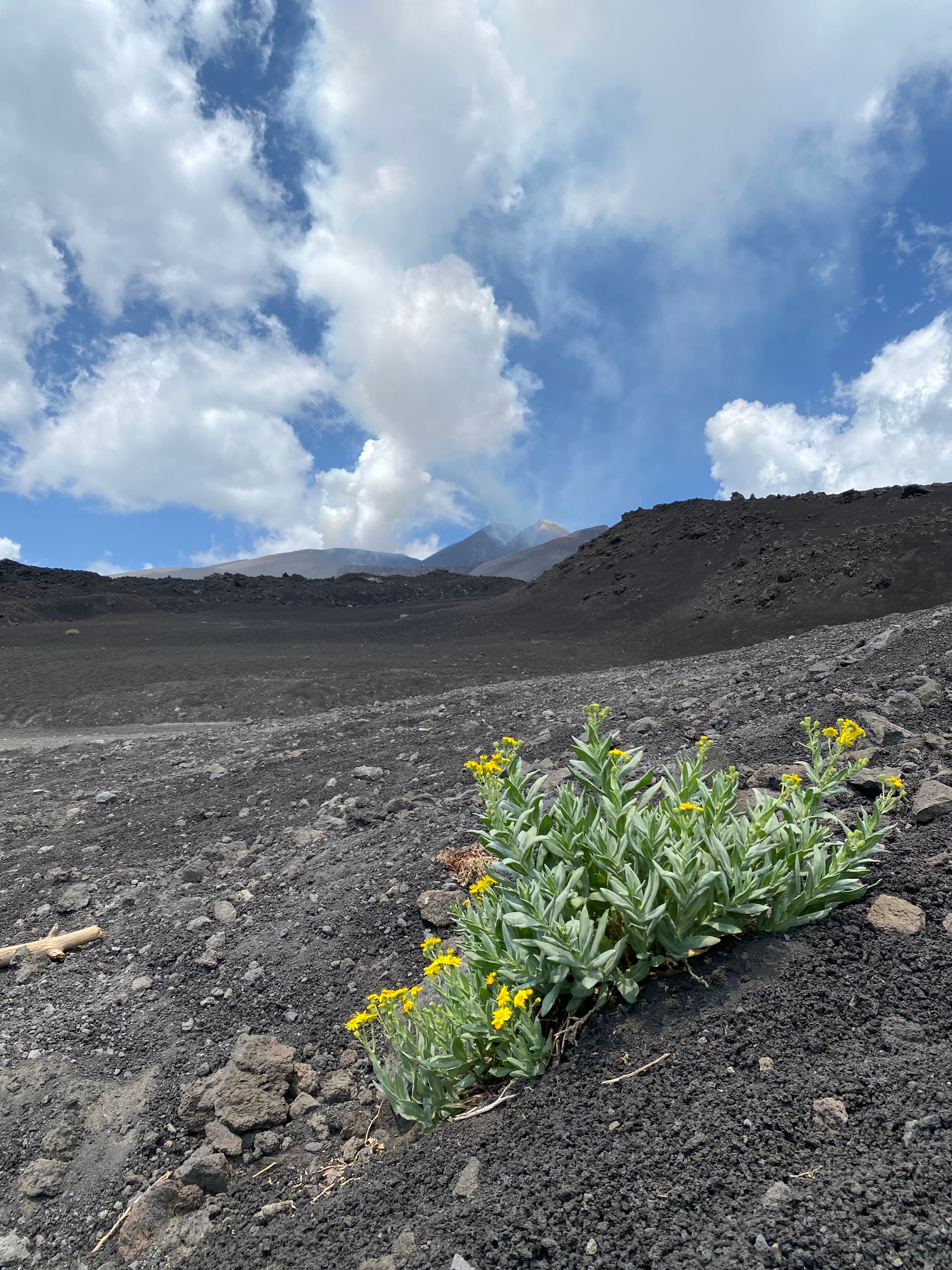 /sicile/voyage-sicile-etna-5.jpeg