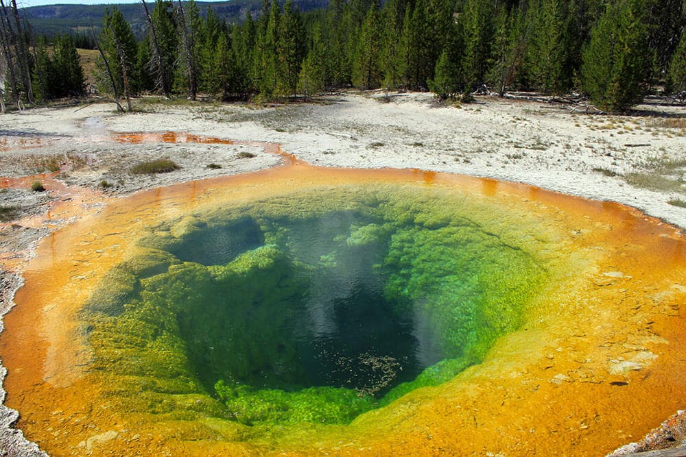 Upper Geyser Basin