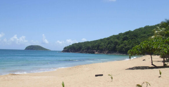 12 choses à voir et à faire en Guadeloupe